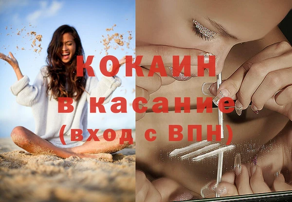 хмурый Бородино